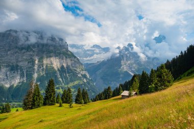 Grindelwald Alp Vadisi manzarası. Jungfrau, İsviçre. Bernese Alpleri 'nin altında. Dağ köyü.