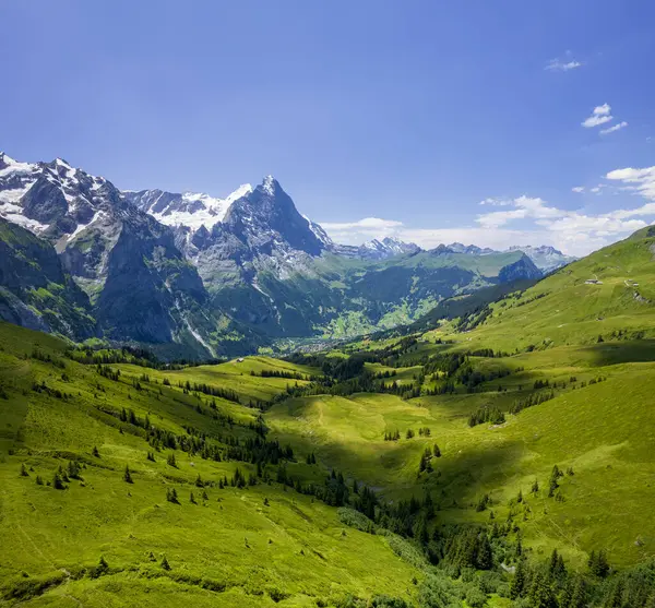 Grindelwald Alp Vadisi manzarası. Jungfrau, İsviçre. Bernese Alpleri 'nin altında. Dağ köyü.