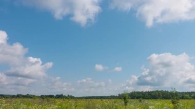 Kırsal çayır manzarasının yaz mevsiminde kaybolması. Güzel sıcak hava