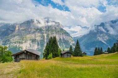 Grindelwald Alp Vadisi manzarası. Jungfrau, İsviçre. Bernese Alpleri 'nin altında. Dağ köyü.