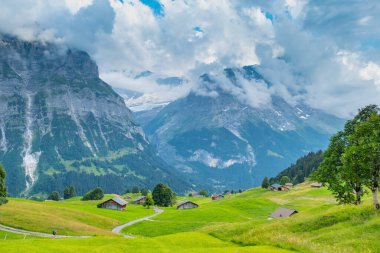 Grindelwald Alp Vadisi manzarası. Jungfrau, İsviçre. Bernese Alpleri 'nin altında. Dağ köyü.