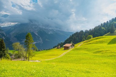 Grindelwald Alp Vadisi manzarası. Jungfrau, İsviçre. Bernese Alpleri 'nin altında. Dağ köyü.