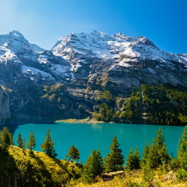 Güneşli yaz gününde Oeschinensee Gölü ve kar Bluemlisalp dağı. Gök mavisi Oeschinensee Gölü Panoraması, İsviçre Alpleri 'nde çam ormanı, Kandersteg. İsviçre.
