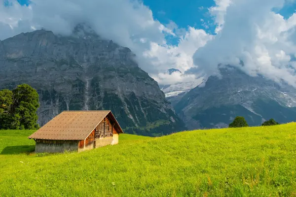 Grindelwald Alp Vadisi manzarası. Jungfrau, İsviçre. Bernese Alpleri 'nin altında. Dağ köyü.