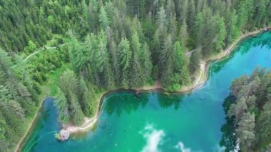 Alp cenneti zümrüt gölü Gruner, kristal suları ve çam ormanlarıyla çevrili. Avusturya 'da yaz mevsimi.