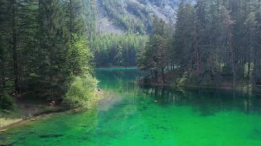 Alp cenneti zümrüt gölü Gruner, kristal suları ve çam ormanlarıyla çevrili. Avusturya 'da yaz mevsimi.