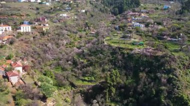 La Palma Adası Kanaryası 'ndaki küçük bir dağ köyünde bahar havası açan badem ağaçları.