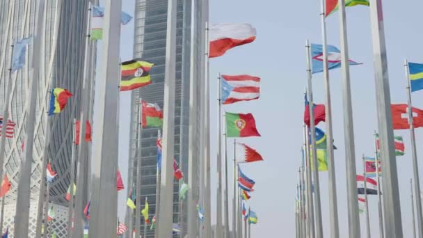 蓝天背景下飘扬的世界旗帜的底部视图 — 图库视频影像