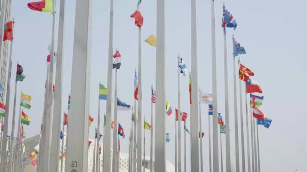 Widok Dołu Materiał Filmowy Flagi Świata Machający Tle Niebieskiego Nieba — Wideo stockowe