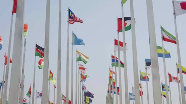 Πλάνα Από Σημαίες Του Κόσμου Κυματίζει Μπλε Φόντο Του Ουρανού — Αρχείο Βίντεο