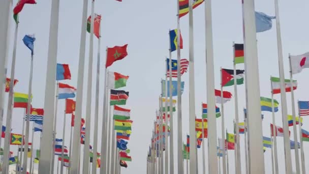 Imágenes Vista Inferior Banderas Del Mundo Ondeando Sobre Fondo Azul — Vídeo de stock