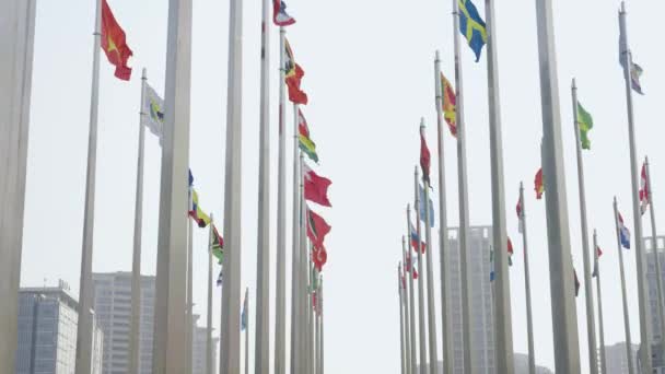 Фотография Флагов Мира Размахивающих Фоне Голубого Неба — стоковое видео