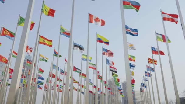 Alsó Nézet Felvétel Zászlók Világ Integetett Kék Háttér — Stock videók