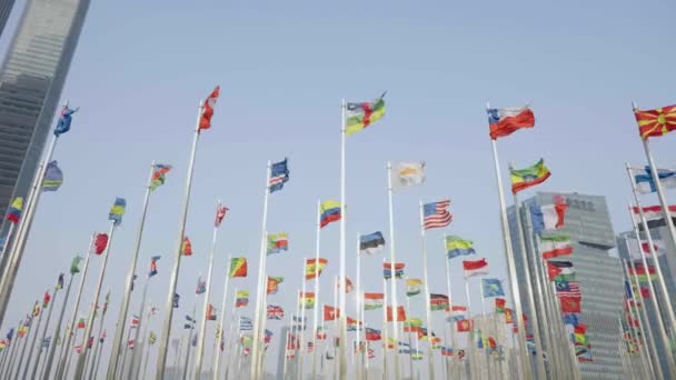 Tampilan Bawah Cuplikan Bendera Dunia Melambai Pada Latar Langit Biru — Stok Video