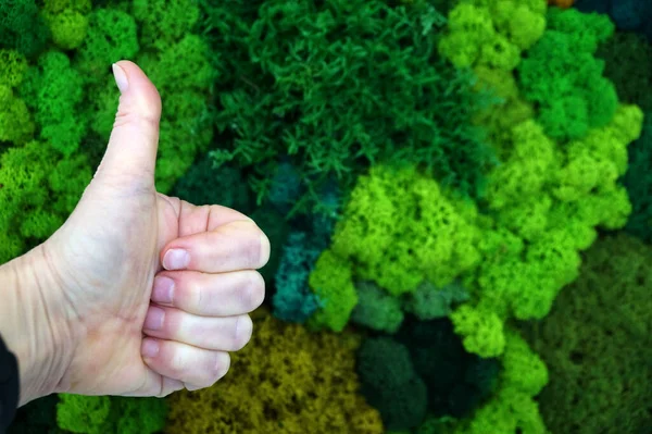female hand with thumb up as super symbol on green decorative moss background, eco design concept.