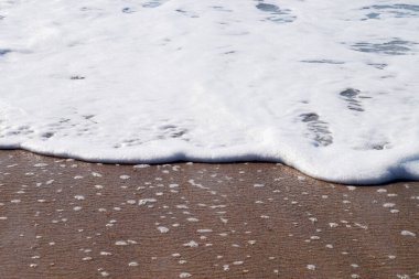 wet sand and white sea foam close up.