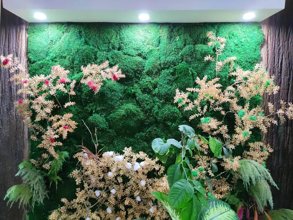 vertical landscaping of the interior of decorative moss and plants with backlight.