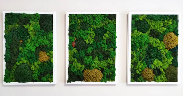 three panels of green decorative preserved moss on a white wall, ecological design in the interior, eco-design concept