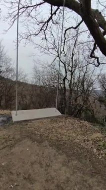 old empty wooden swing swings mystically in a gloomy forest in cloudy weather