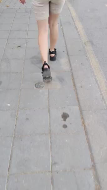 Piernas Una Chica Sandalias Negras Caminar Largo Acera Vista Trasera — Vídeo de stock