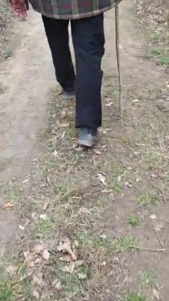 Man Walks Forest Road Leaning Stick Rear View — Stockvideo