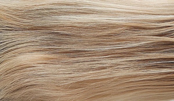 Blond Clair Cheveux Féminins Gros Plan Pour Fond Photos De Stock Libres De Droits