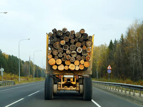 Truck Trailer Carries Long Logs Highway Autumn Rear View — Stock Photo, Image