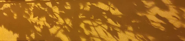 Homályos Árnyék Levelek Sárga Vakolt Fal Vízszintes Háttér — Stock Fotó