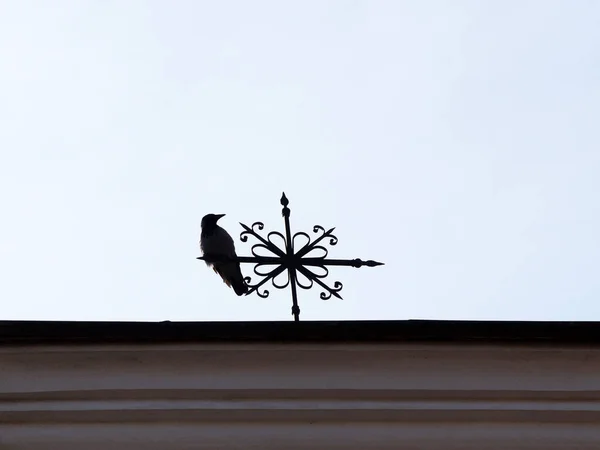 Schwarze Krähe Auf Einer Wetterfahne Auf Dem Dach — Stockfoto