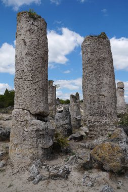 Kırık taşlar. Pobiti kamni. Bulgaristan 'da doğal kaynaklı taş sütunlar, antik denizin dibi, bir açık hava müzesi