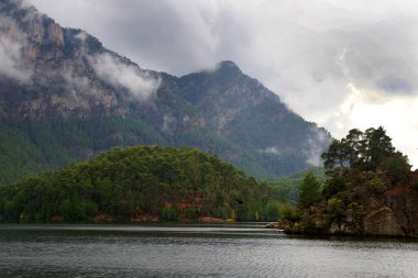 Orman ve göl, bulutlu bir havada sisli bir dağın arka planına karşı..
