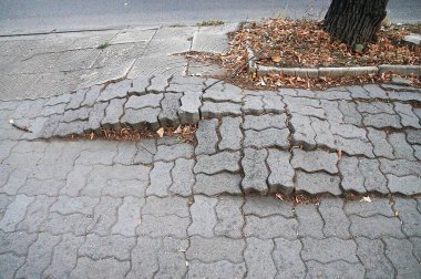sidewalk damaged by tree roots in urban setting. clipart