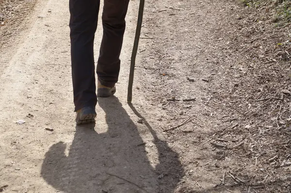 Close-up of a man walking along a dirt road leaning on a wooden stick, rear view