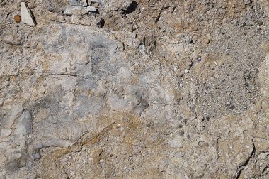 doğal arkaplan için bej taş dokusu.