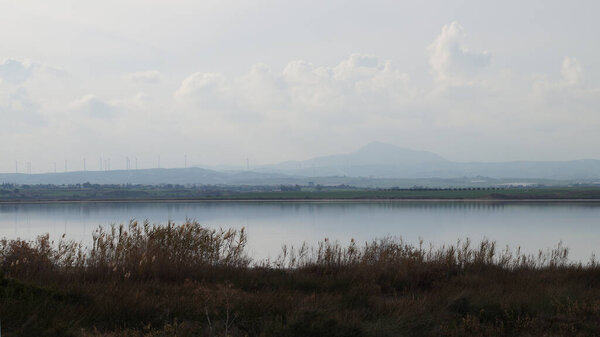 Фламинго-Солт-Лейк-Сити в Ларнаке, Кипр в пасмурный день
