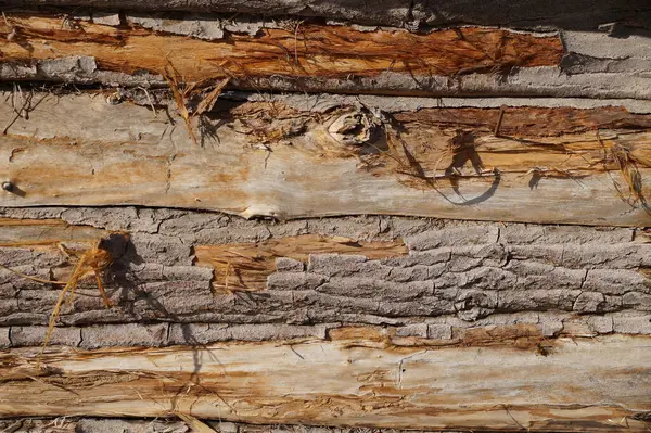 Güneş ışığında kumsuz tahtaların pürüzlü dokusu.