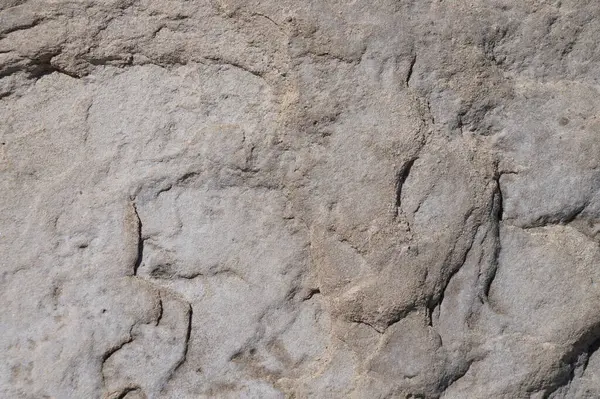 Doğal arkaplan için gri taş dokusu kapat.