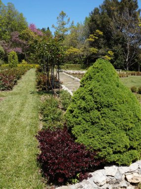 Parkın güneş ışığında peyzaj tasarımı.