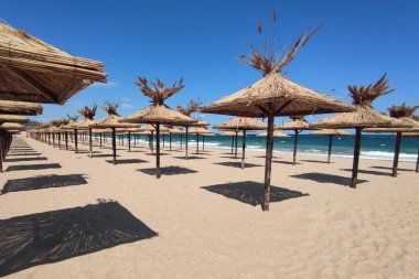 Boş güneşli bir sahilde sazdan sıralanmış plaj şemsiyeleri..
