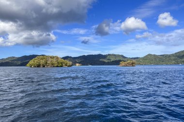 Travel and scubadiving to Lembeh strait, North Sulawesi, Indonesia. clipart