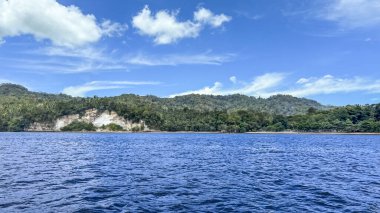 Lembeh Boğazı, Kuzey Sulawesi, Endonezya 'ya seyahat ve tüple dalış.