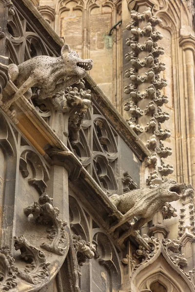 Elements of Gothic architecture. Grotesque, chimera and gargoyle sculptures on the facade of an ancient medieval cathedral. St. Stephen's Cathedral. Vienna. Austria