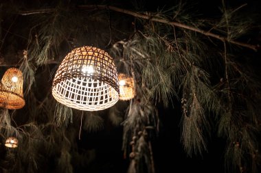 Ağaçtaki lambalar. Güzel abajurlar. Ağaçların arasında. İyi geceler kumsal.