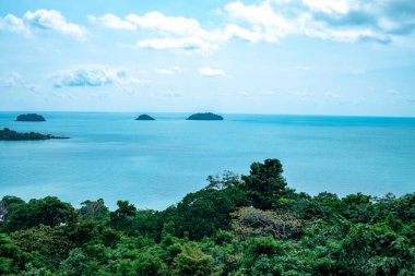 Yukarıdan deniz manzarası. Güzel okyanus. Gemi. Yaz. ağaç taçları