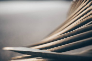 Güzel bir palmiye yaprağı. Gün batımı. Yaz. Seçici odaklanma. Düşük odaklanma derinliği. güzel bulanık arkaplan.