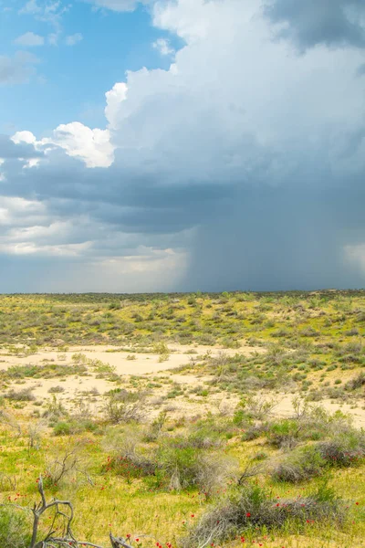 Thunderstorm unusual cloud over the Kyzylkum desert, rare rain over the desert area