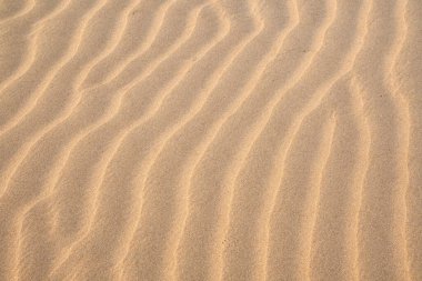 Texture of sand dunes as background top view. Drone view of the Kyzylkum desert in soft evening lighting, a peaceful landscape