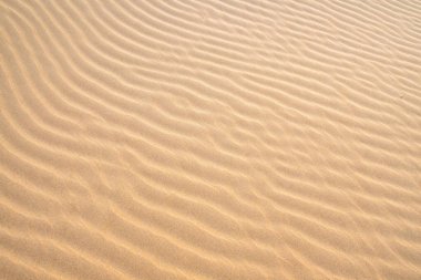 Texture of sand dunes as background top view. Drone view of the Kyzylkum desert in soft evening lighting, a peaceful landscape