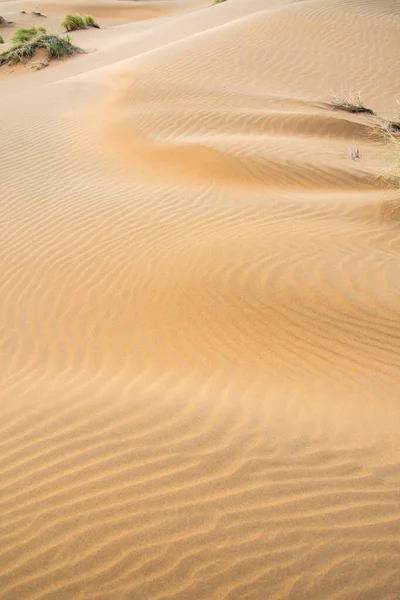 Texture of sand dunes as background top view. Drone view of the Kyzylkum desert in soft evening lighting, a peaceful landscape