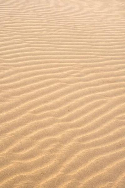 Texture of sand dunes as background top view. Drone view of the Kyzylkum desert in soft evening lighting, a peaceful landscape